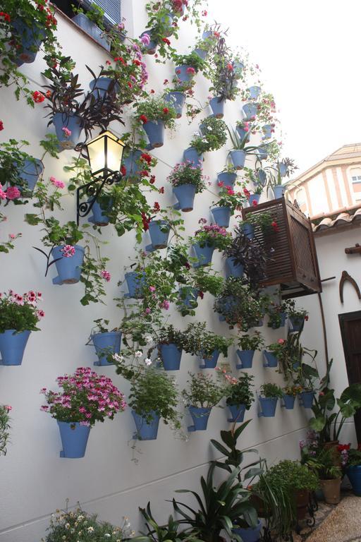 La Posada Del Infante La Puebla de los Infantes Exterior foto